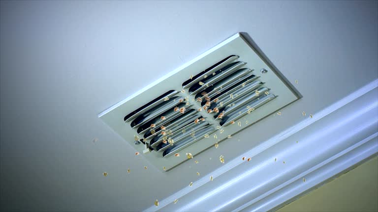Air Duct Mold Removal in NE