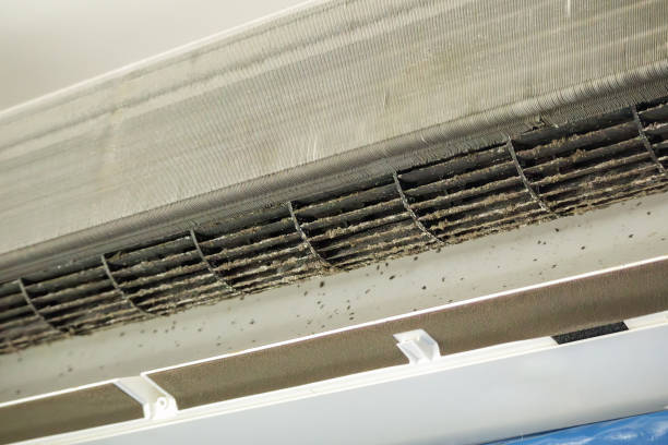 Best Air Vent Cleaning Services  in Gothenburg, NE